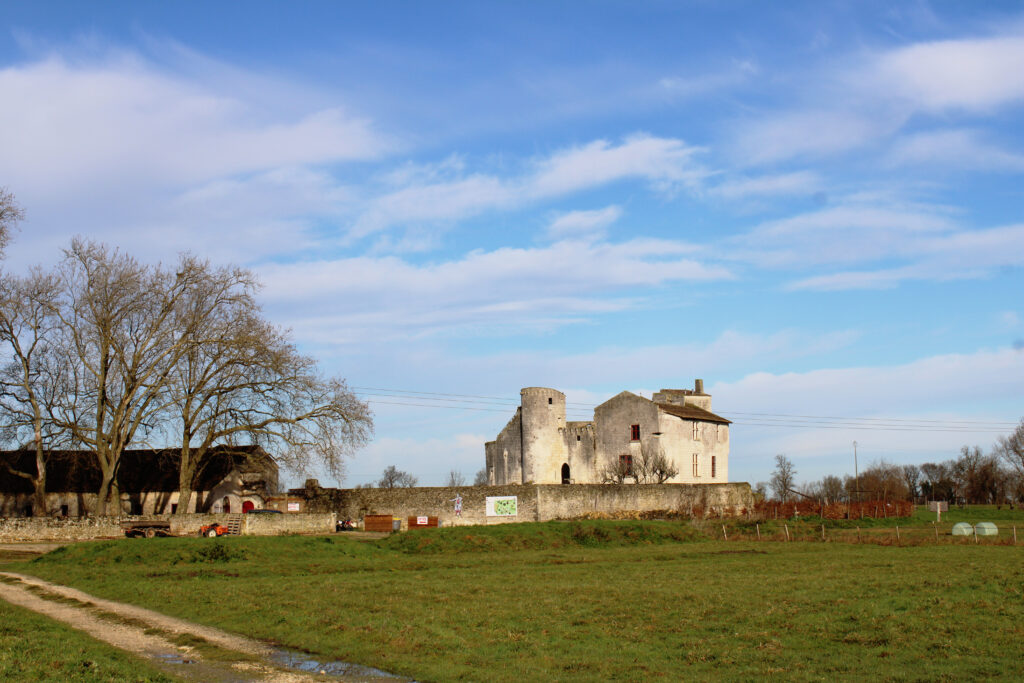 chateau-saint-jean-d-angle