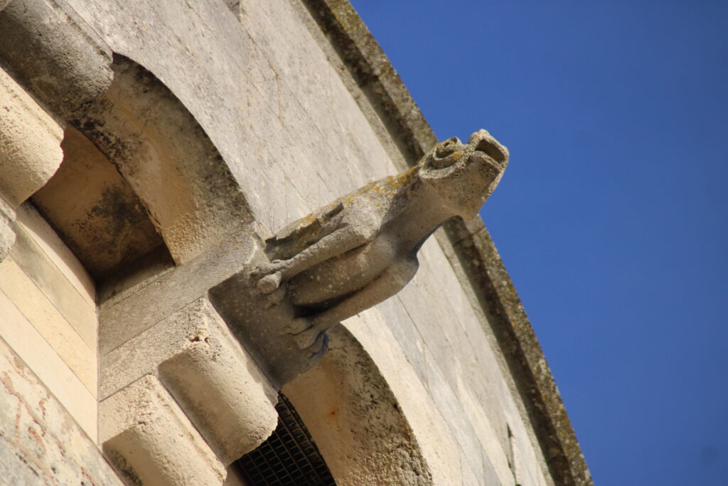 Un poisson par ci, un dragon par là, ... . Les gargouilles de la Tour de la Chaîne sont vraiment atypiques ! (c)nico_la_rochelle