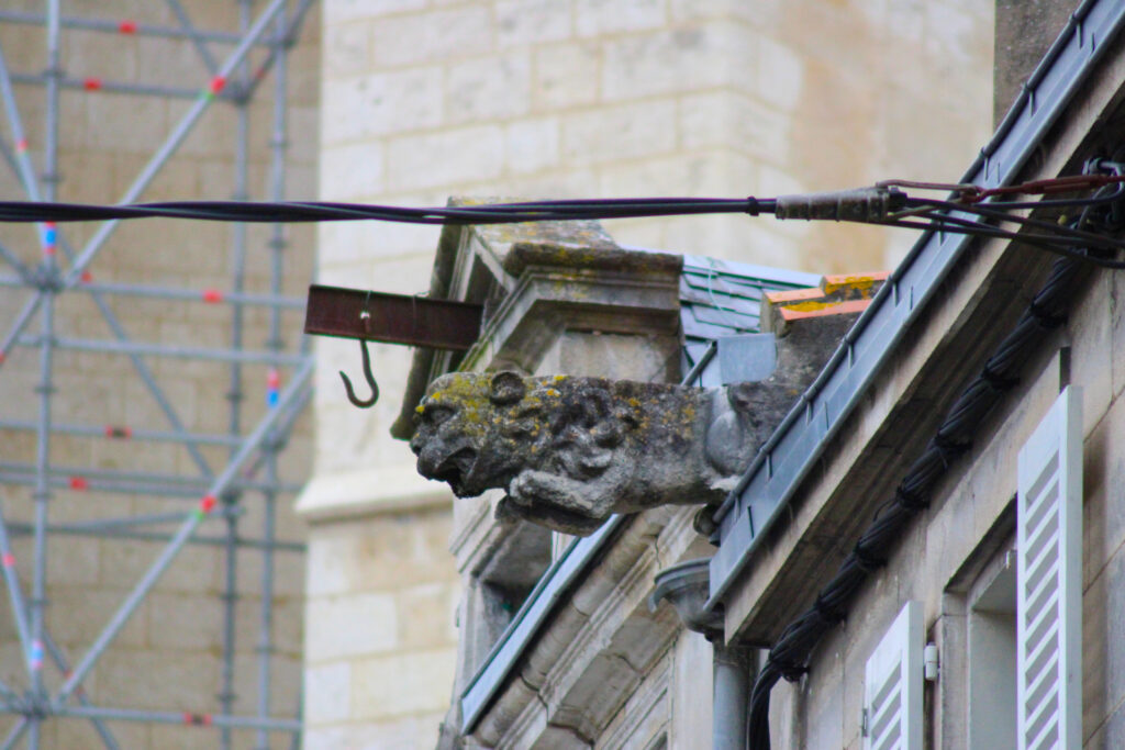 Il y a aussi des figures plus exotiques dans les gargouilles que l'on peut retrouver à La Rochelle. (c)nico_la_rochelle
