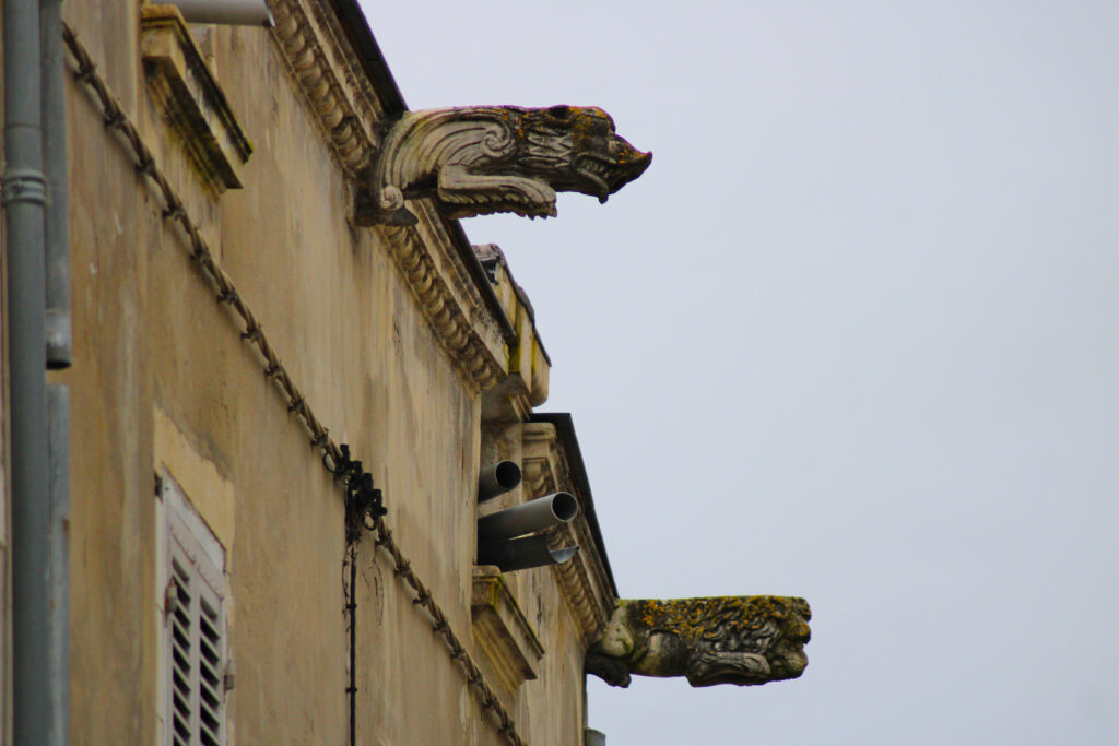 Au détour d'une rue, vous tomberez certainement sur une gargouille en forme de sanglier (première gargouille à gauche). (c)nico_la_rochelle