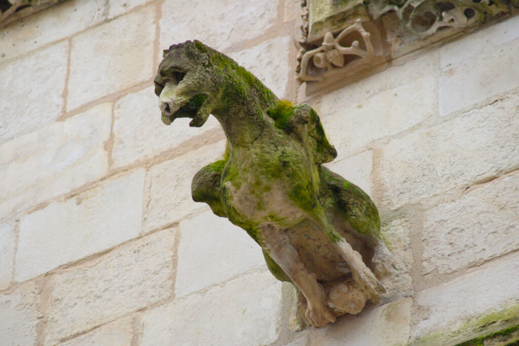 Un exemple de gargouille situé sur la façade de l'Hôtel de Ville (avec un trou d'eau) . (c)nico_la_rochelle