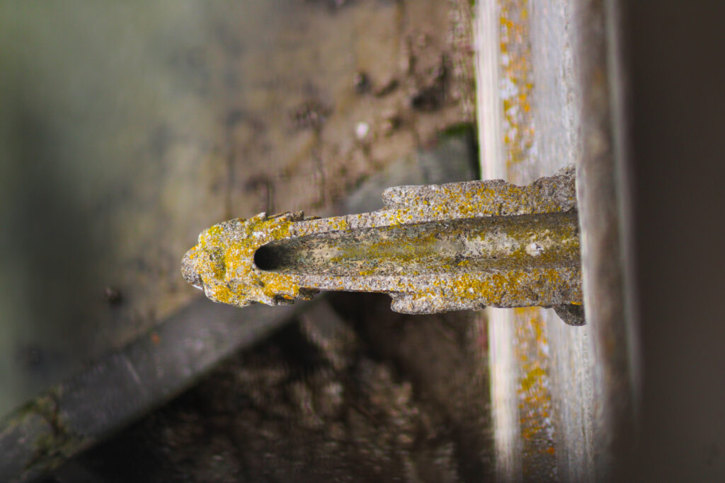 Dans l'un des interstices du chemin de ronde, on peut apercevoir l'intérieur d'une des gargouilles sculptées le long de la tour. (c)nico_la_rochelle