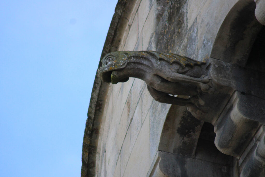 Le long du chemin de ronde de la tour de la Chaîne, vous pourrez retrouver plusieurs gargouilles en forme de poisson (dont certaines avec des dents !). (c)nico_la_rochelle
