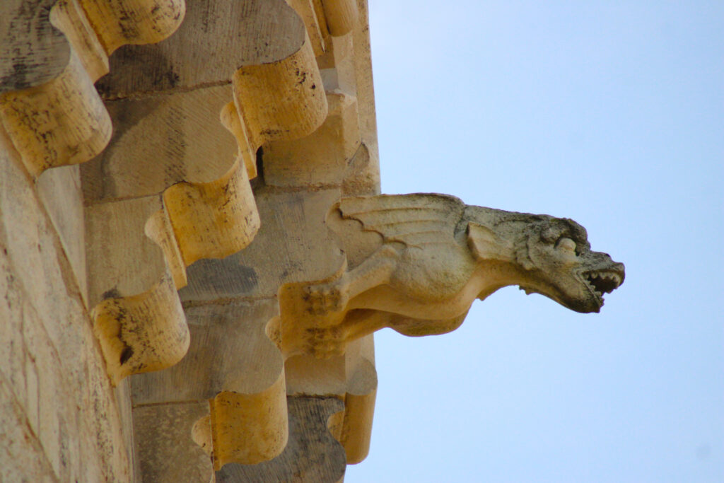 On retrouver de jolis poissons (avec branchies) détenant une jolie dentition ! (c)nico_la_rochelle