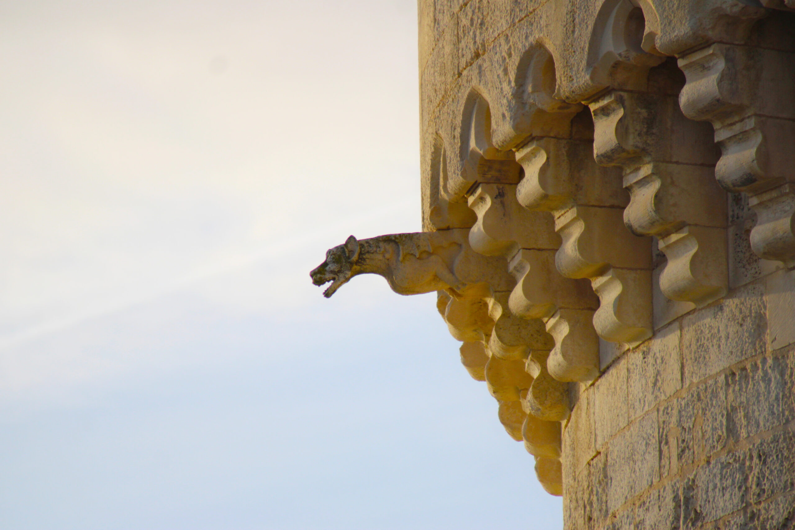 Dans le vide, côtoyant les nuages et accueillant les marins, les gargouilles de la Tour de la lanterne sont très bien conservées et très impressionnantes ! (c)nico_la_rochelle