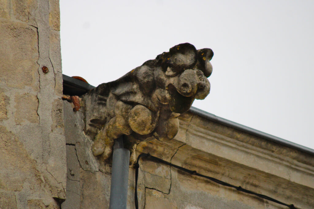 Gargouille non identifiée (rue de la Ferté). (c)nico_la_rochelle