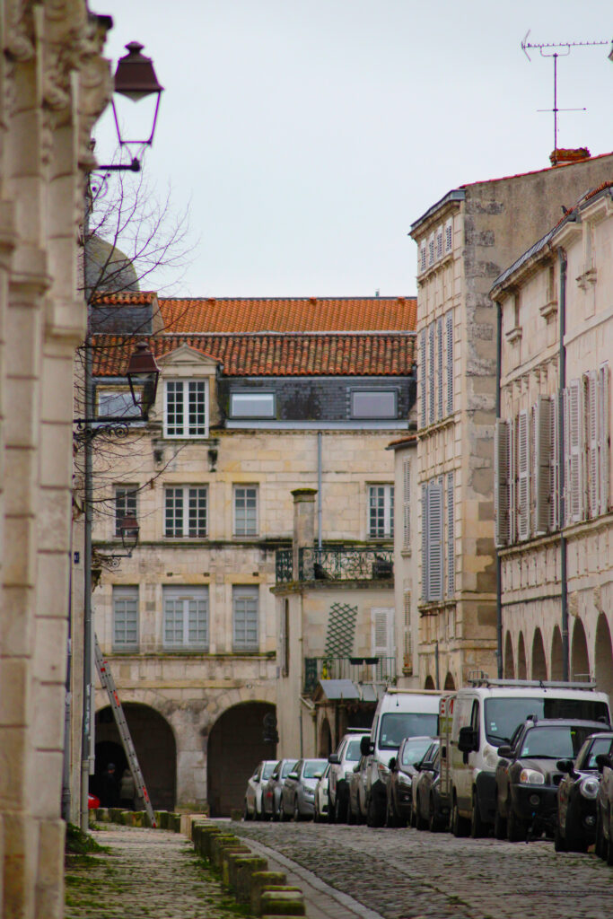 Les gargouilles s'insèrent parfaitement dans le paysage urbain rochelais ... surtout dans des petites rues comme ici la rue de l'Escale. (c)nico_la_rochelle