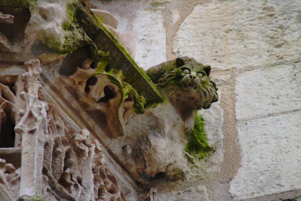 Voici un exemple de chimère sur l'hôtel de Ville de La Rochelle (c)nico_la_rochelle