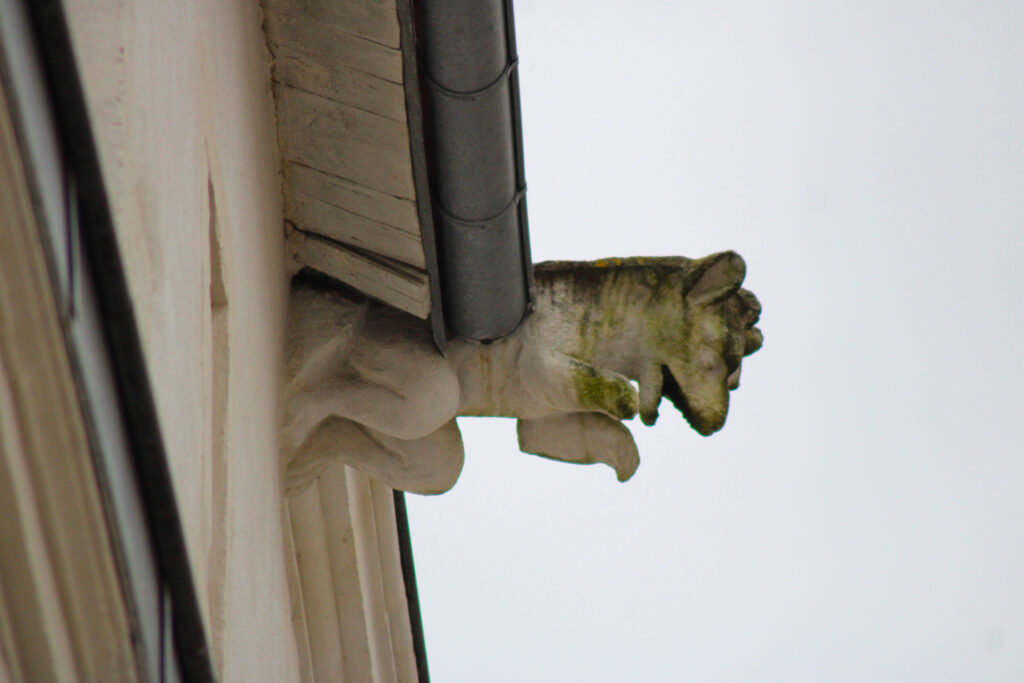 Gargouille en forme de petit diablotin/chaton ou petit singe (rue des Augustins).(c)nico_la_rochelle